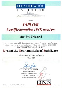 dns-trener-cert-.jpg